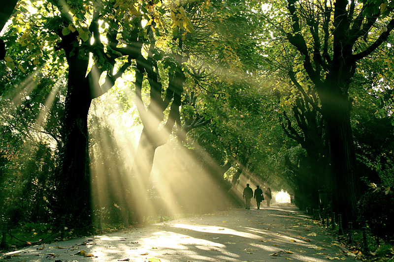 photo "Autumn landscape" tags: landscape, city, Bucharest, autumn, parc, people, sunray, walk