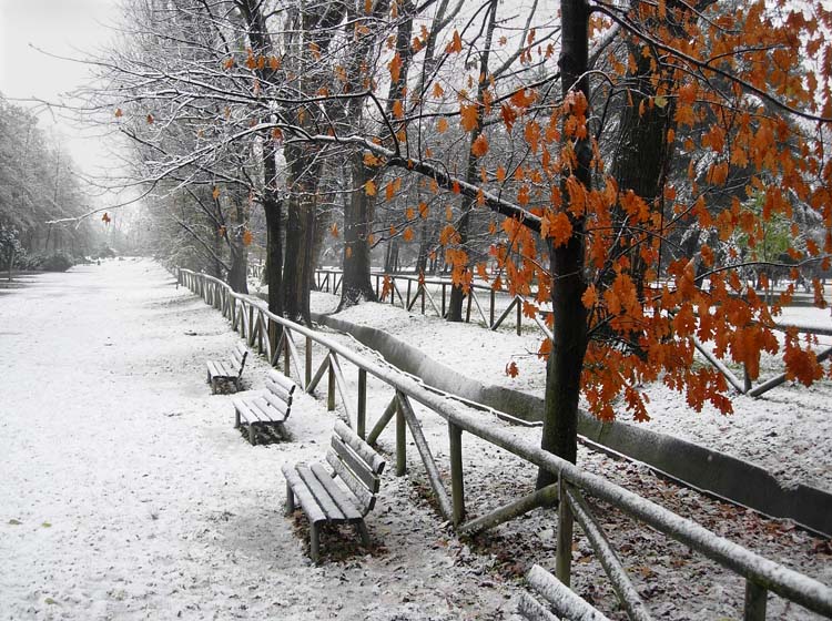 фото "Winter" метки: пейзаж, зима