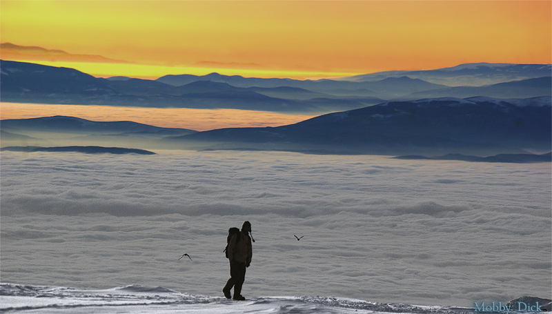 photo "As birds" tags: landscape, winter
