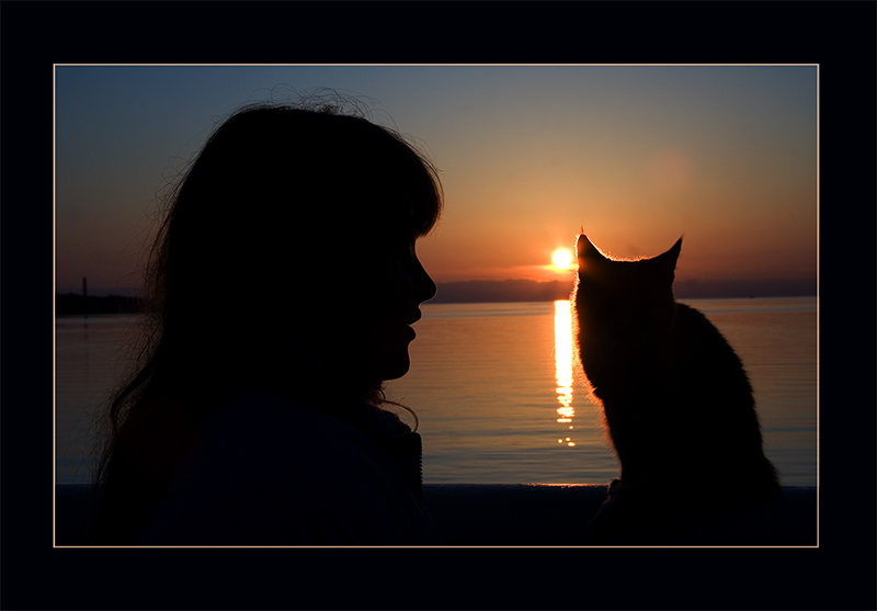photo "Man and cat" tags: genre, 