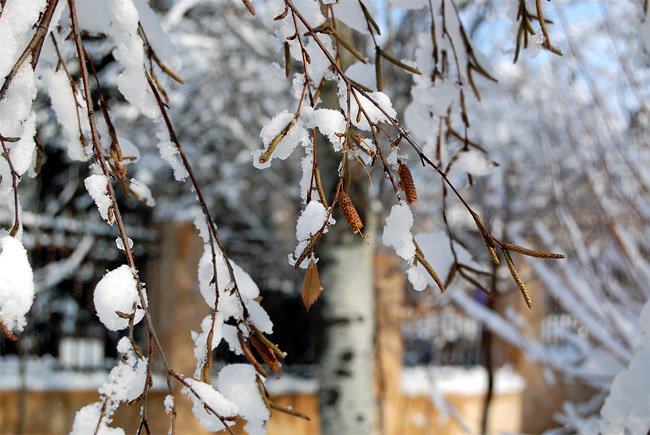 photo "***" tags: landscape, winter