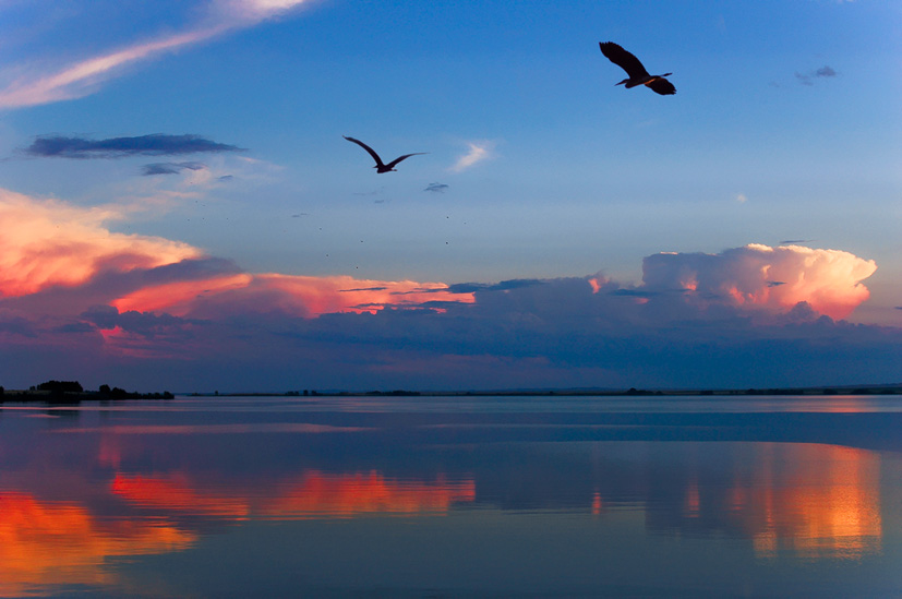 photo "After a rain" tags: landscape, sunset, water