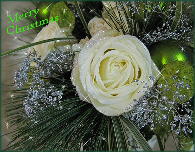photo "Merry Xmas, my dear friends!" tags: nature, still life, flowers
