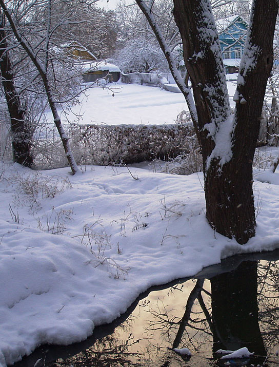 photo "Winter mizanstseny" tags: landscape, winter