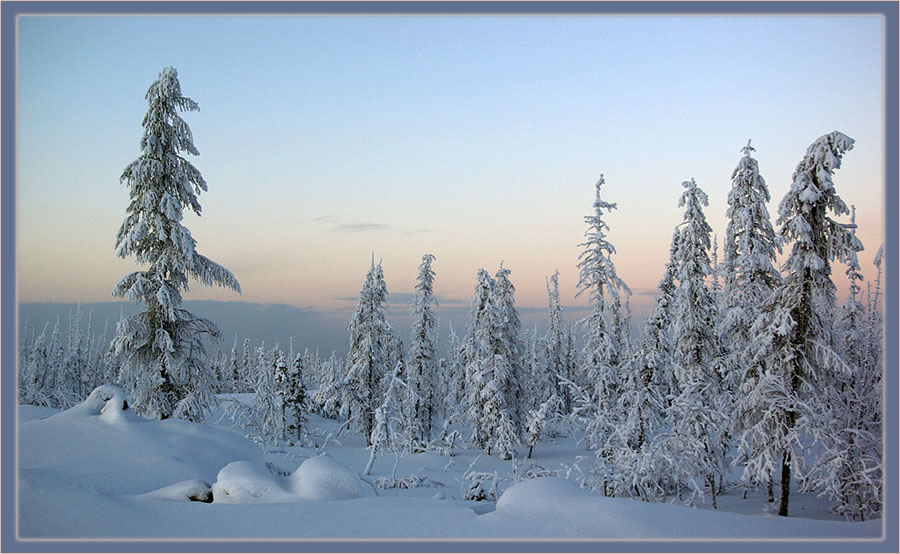 photo "***" tags: landscape, forest, winter