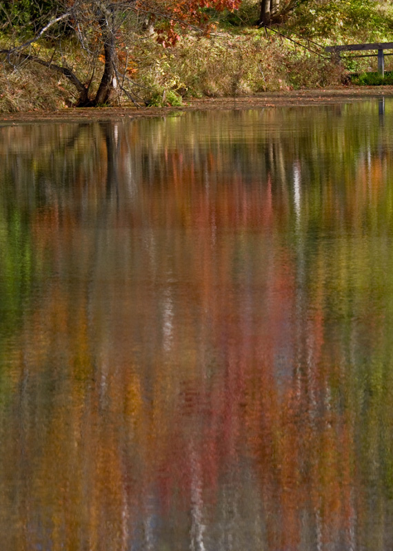 фото "Осенняя палитра" метки: пейзаж, вода