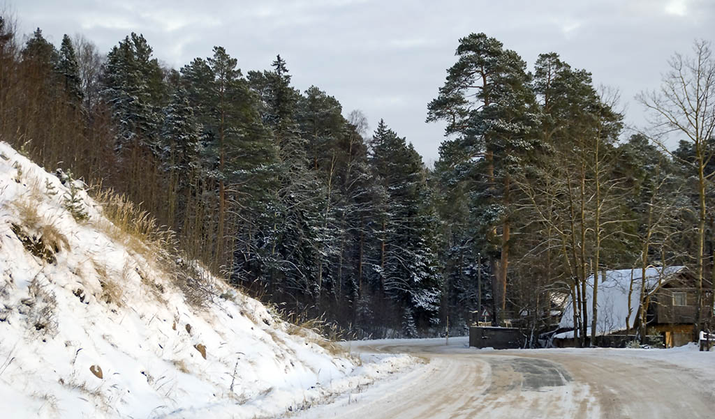 фото "Архангельск - Онега" метки: пейзаж, зима, лес
