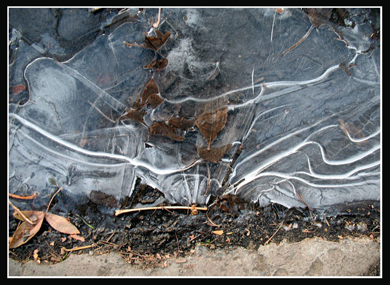 photo "Ice Bouquet" tags: abstract, 