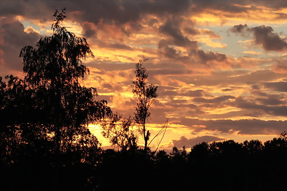 photo "***" tags: landscape, sunset