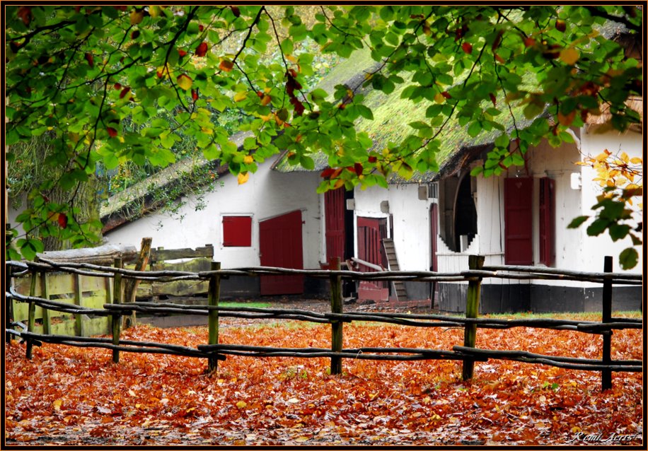 фото "between the old trees" метки: архитектура, пейзаж, осень