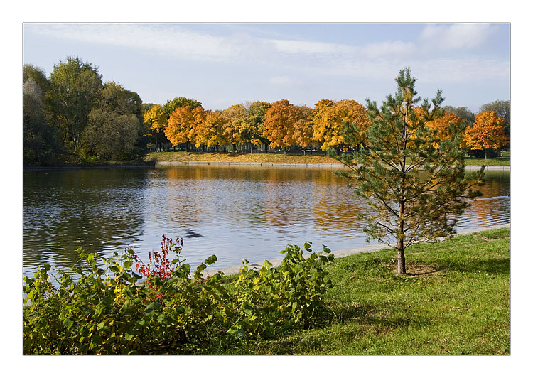 фото "Осенью птица летела" метки: пейзаж, осень