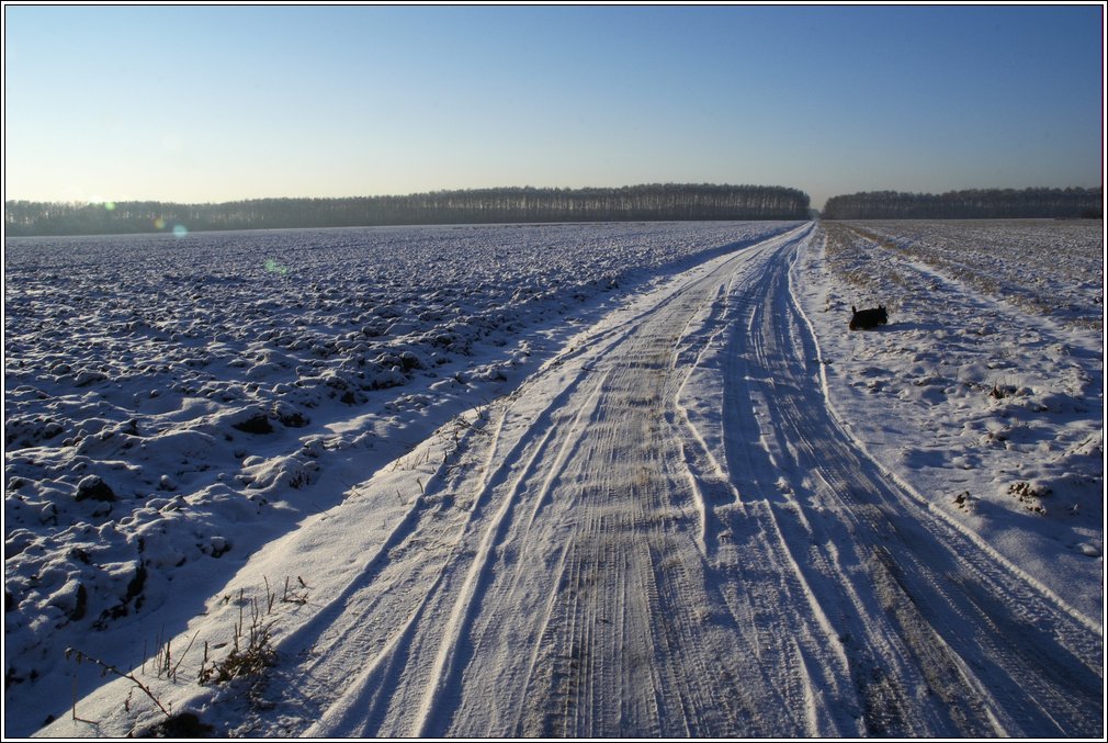 фото "Потерним до второго снега" метки: пейзаж, зима