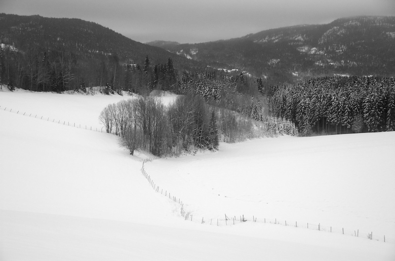 photo "winterland" tags: landscape, winter