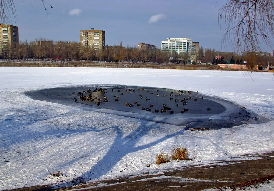 фото "Дерево жизни" метки: пейзаж, зима