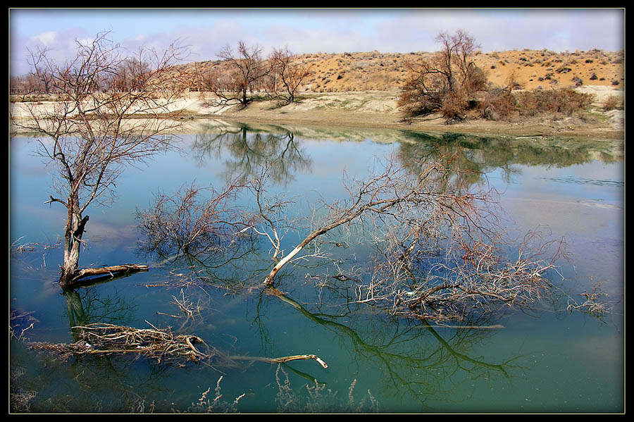 photo "***" tags: landscape, water