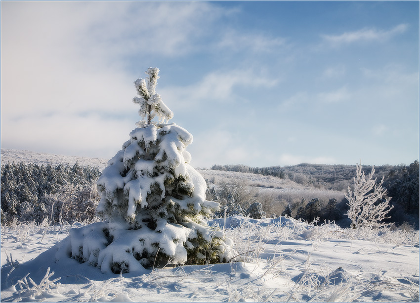 photo "***" tags: landscape, winter