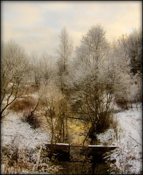 фото "лёг...." метки: пейзаж, 