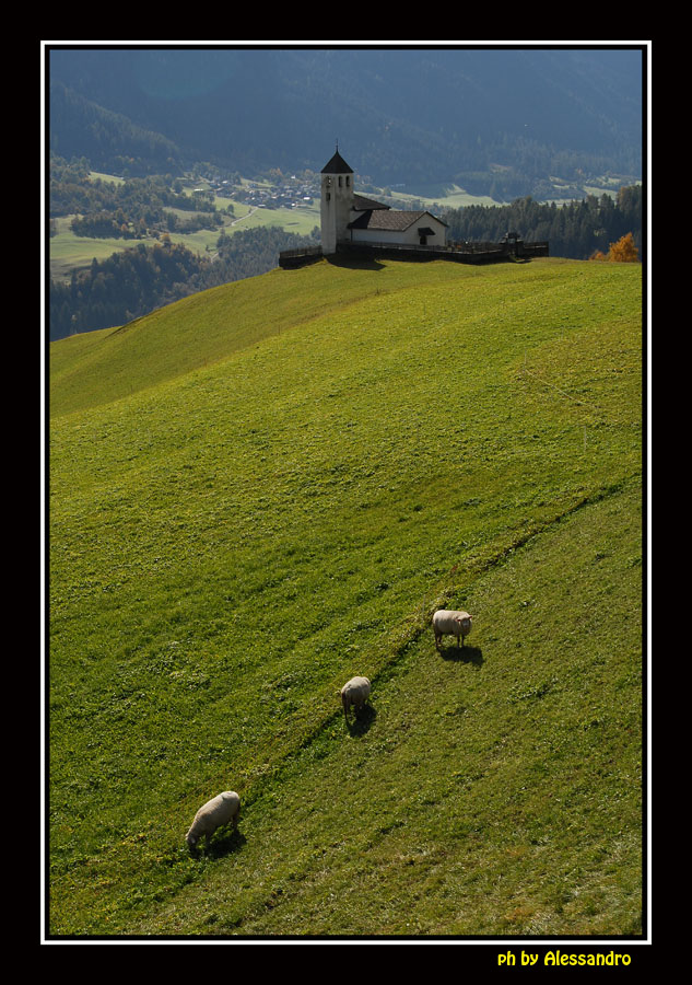 фото "pastorale" метки: пейзаж, горы