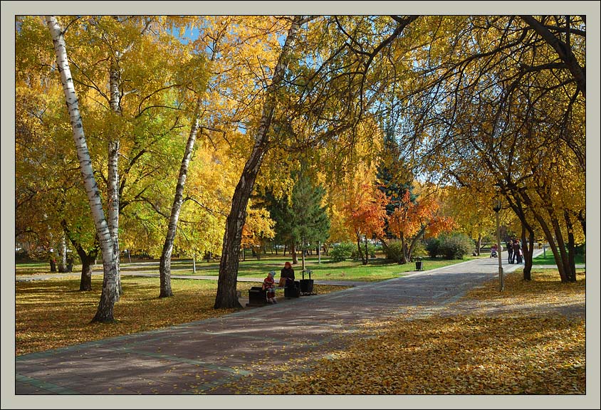 photo "In autumn park" tags: landscape, autumn, forest