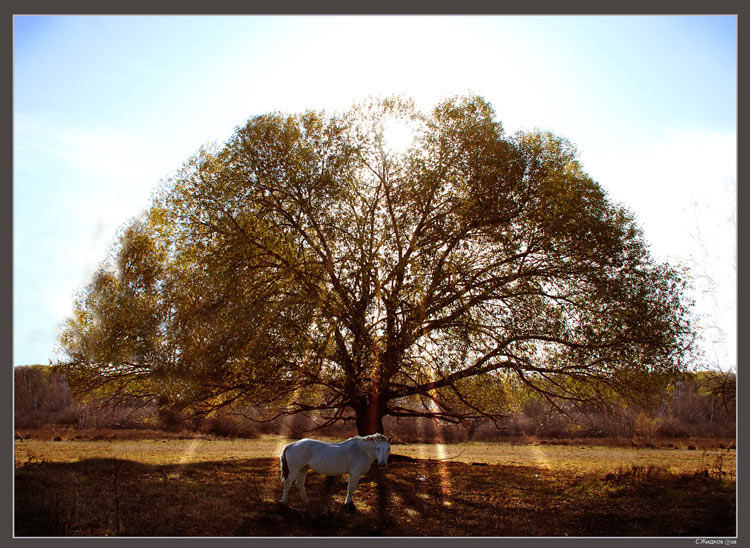 photo "***" tags: landscape, autumn