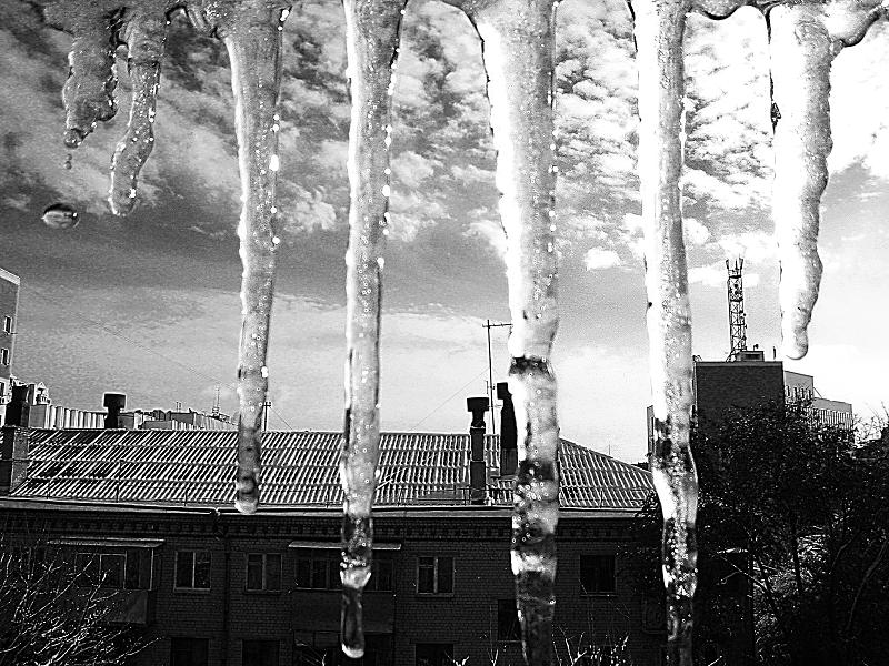 фото "Зимние украшения." метки: пейзаж, черно-белые, зима