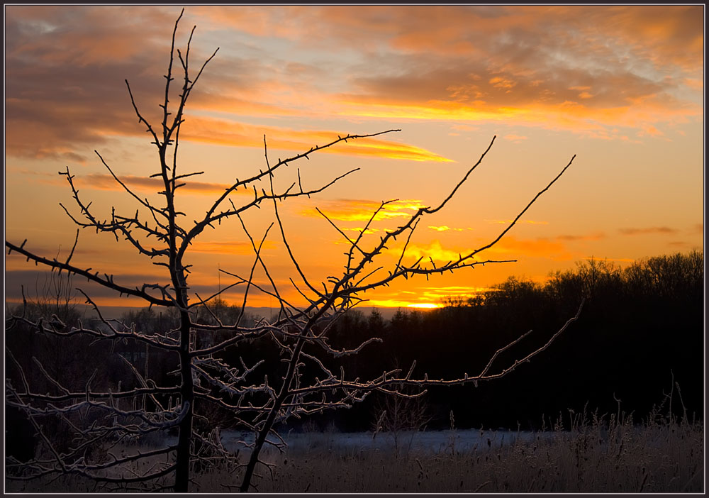 photo "To get warm....." tags: landscape, sunset, winter