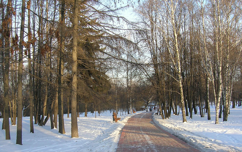 фото "январское солнце" метки: пейзаж, зима