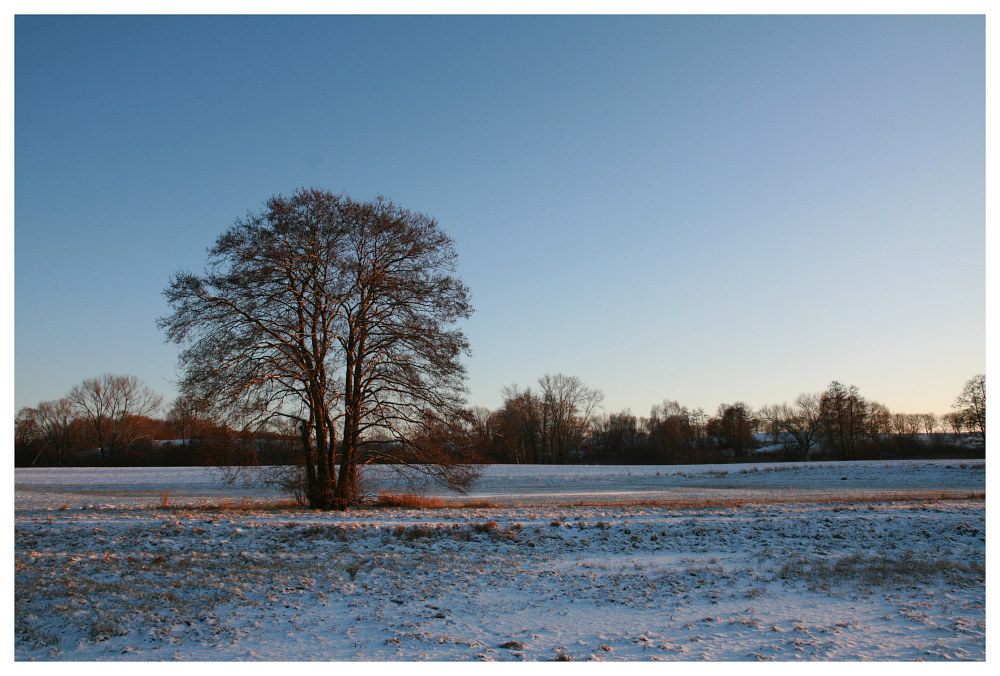 фото "Winter" метки: пейзаж, зима