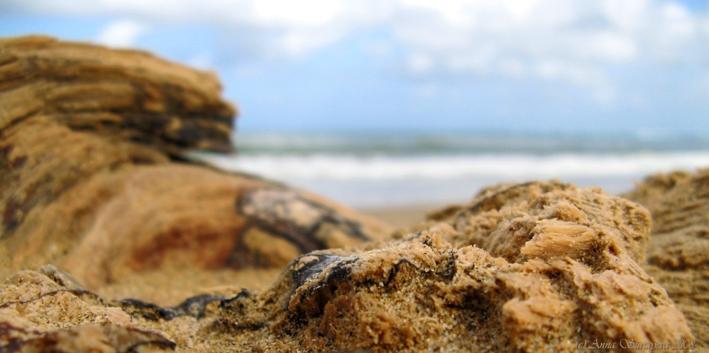 photo "Sand" tags: travel, macro and close-up, 