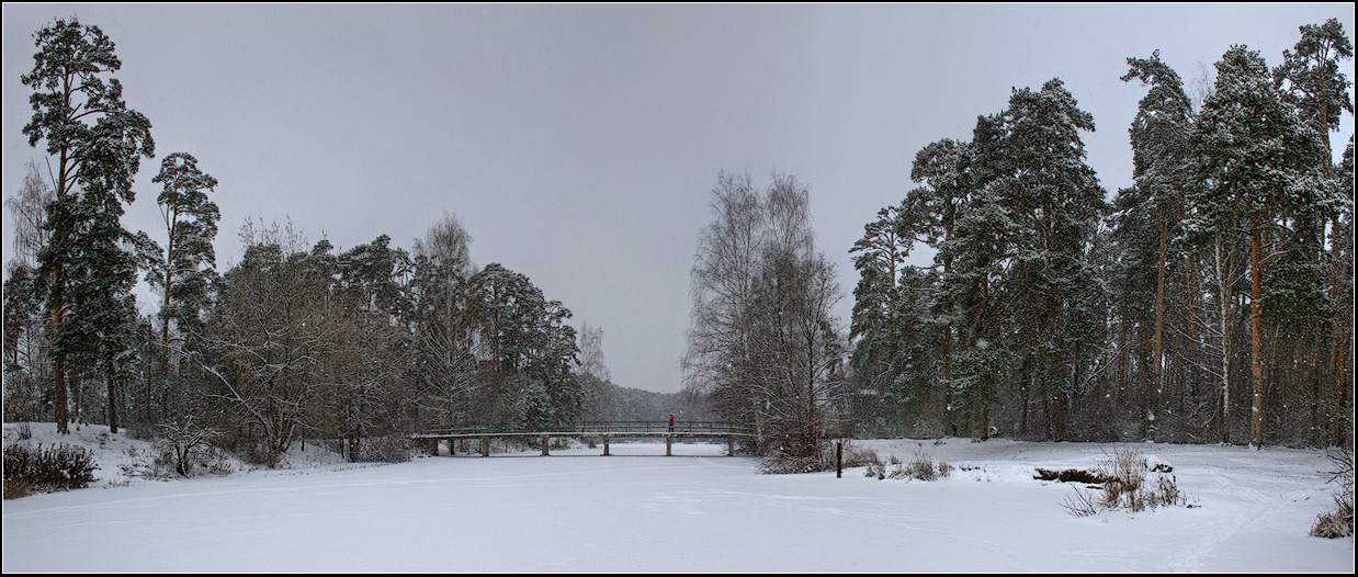 photo "Winter bridge" tags: landscape, forest, winter