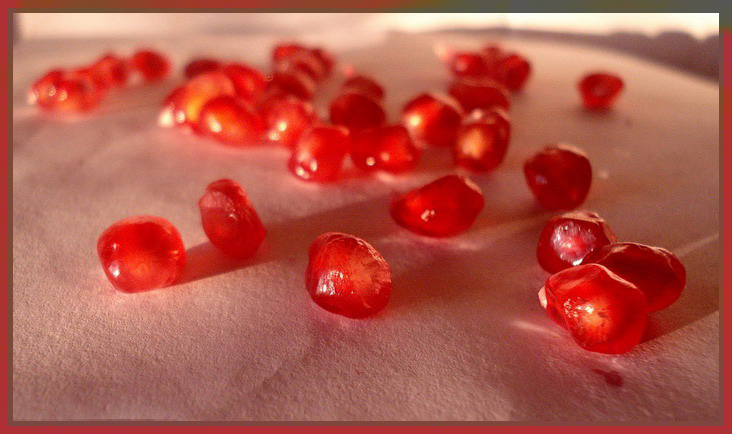 photo "***" tags: macro and close-up, 
