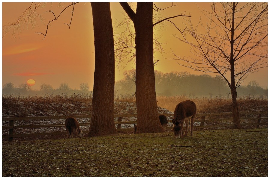 photo "Evening glow." tags: landscape, 