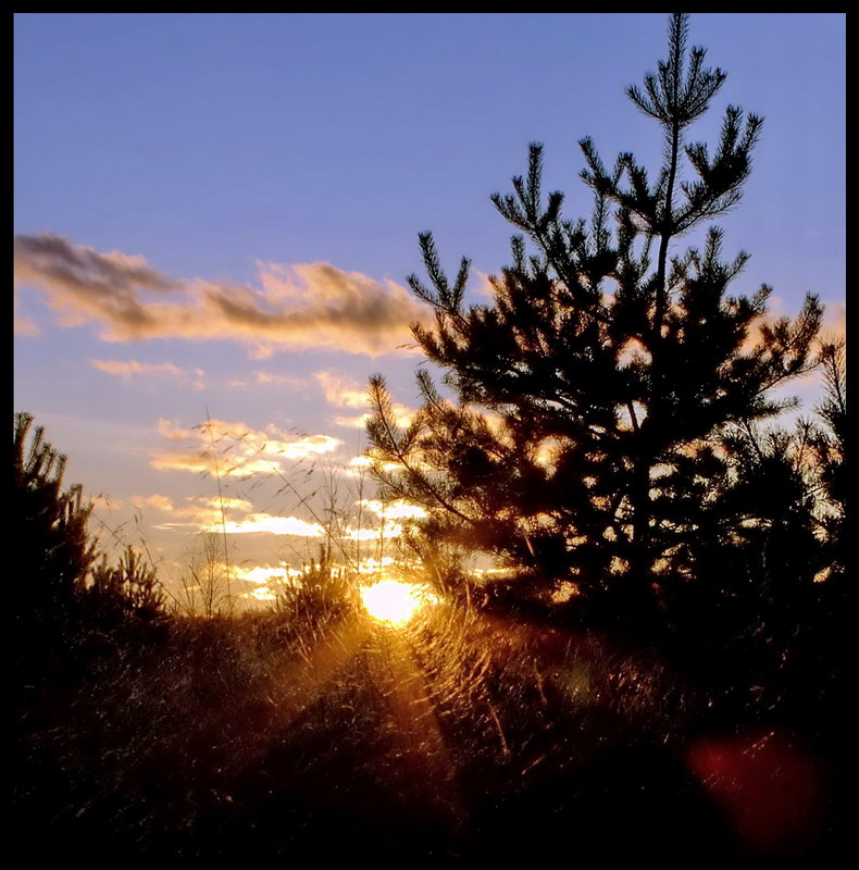 photo "***" tags: landscape, sunset