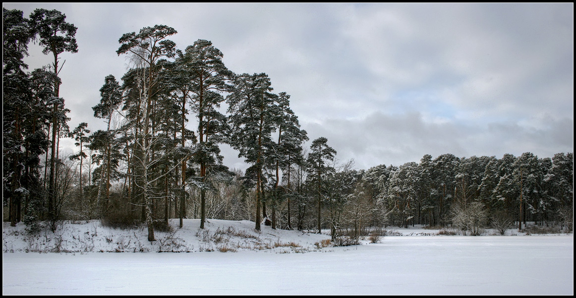 photo "Winter" tags: landscape, forest, winter