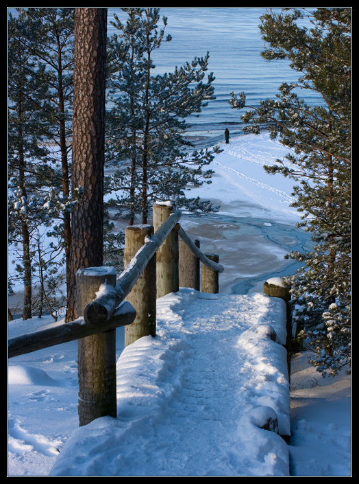 фото "Снег выпал только в январе" метки: пейзаж, закат, зима