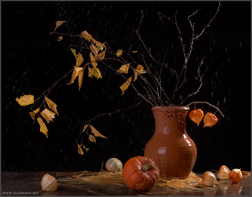 фото "Дождливый натюрморт" метки: натюрморт, природа, цветы