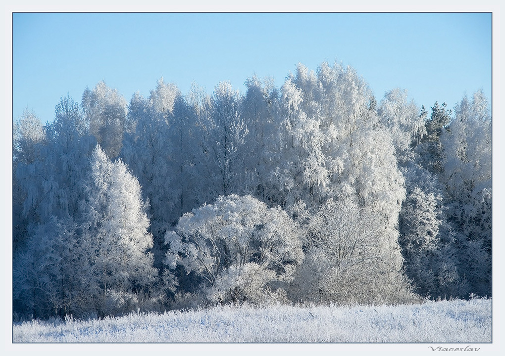 photo "Winter apparel." tags: landscape, winter