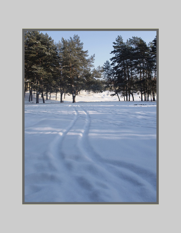 photo "***" tags: landscape, forest, winter