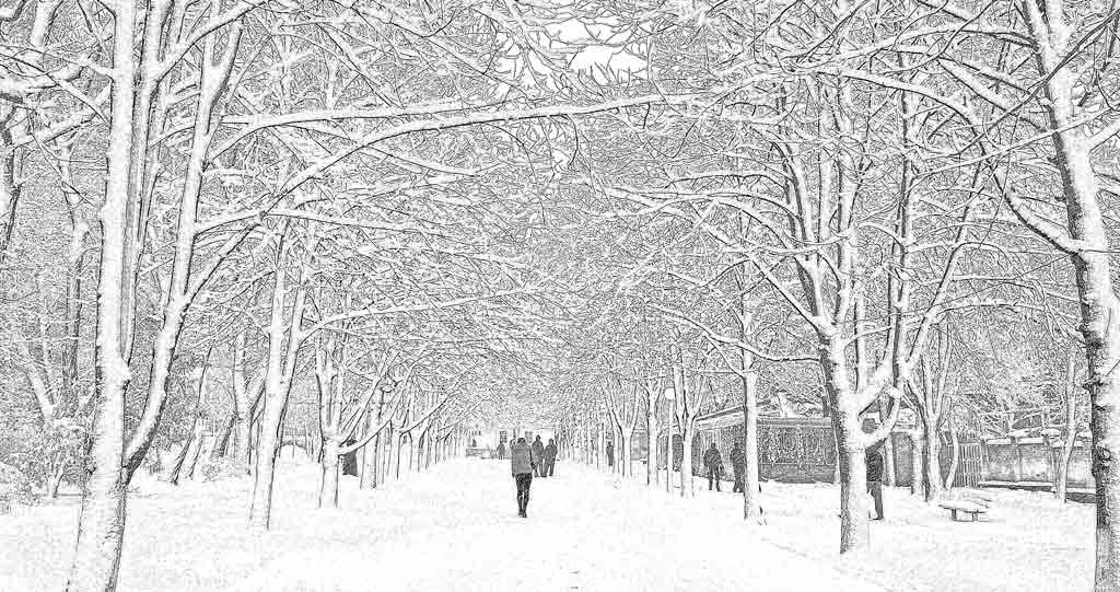 фото "Аллея в снегу" метки: пейзаж, город, зима