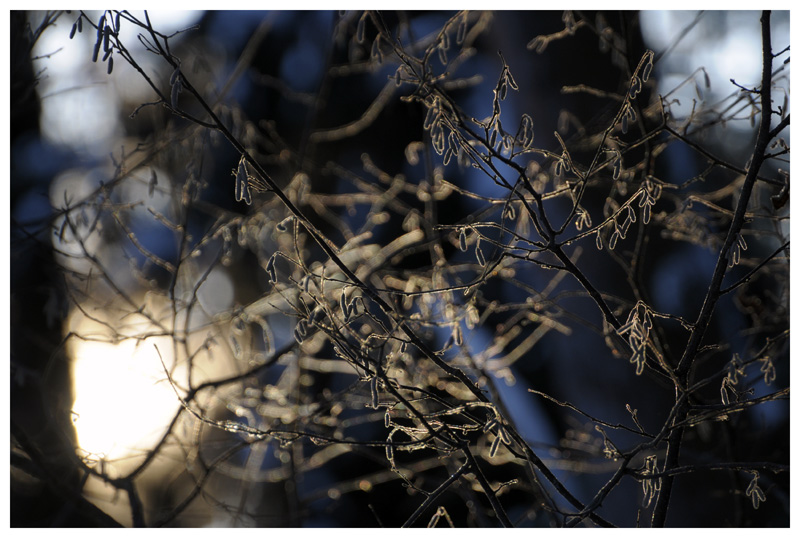 фото "***" метки: пейзаж, зима