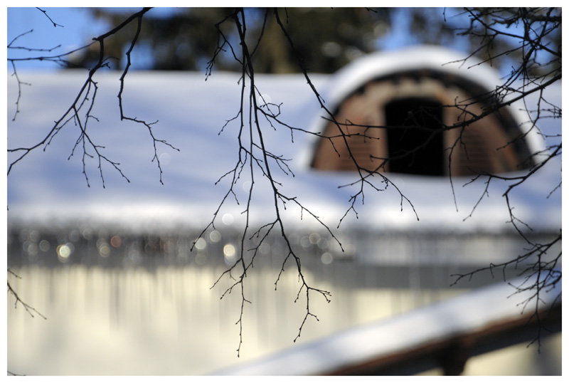 photo "***" tags: landscape, winter
