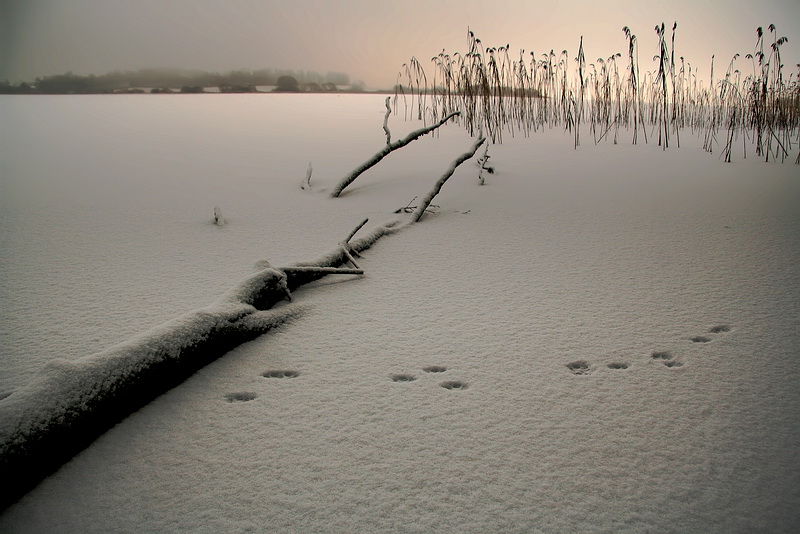 photo "***" tags: landscape, winter