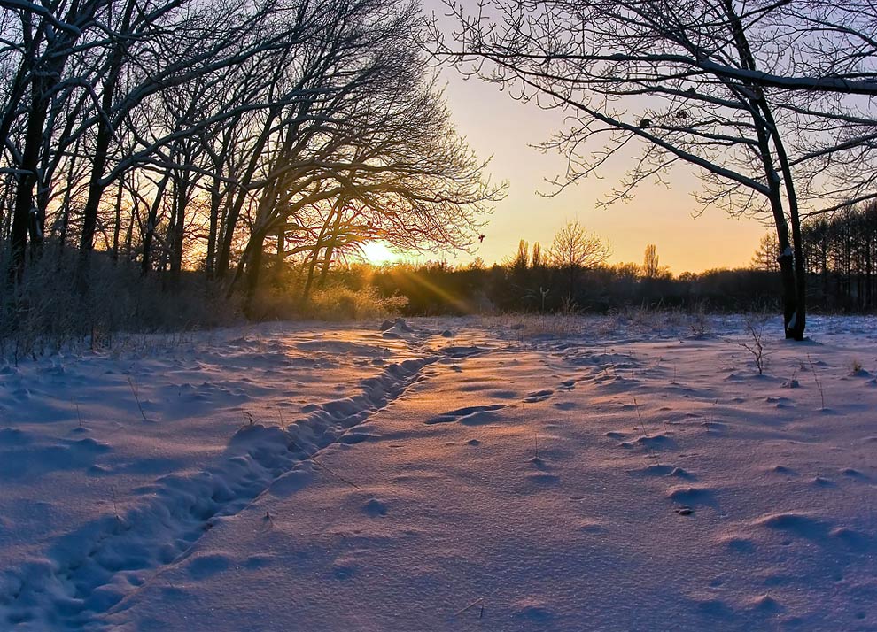 photo "***" tags: landscape, sunset, winter