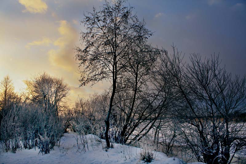 фото "***" метки: пейзаж, зима