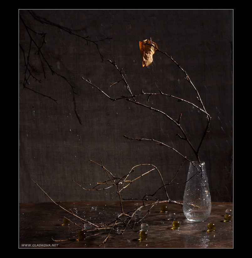 photo "The last leaf" tags: still life, misc., 