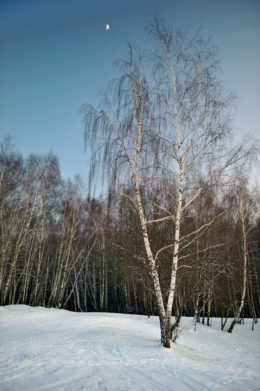 photo "***" tags: landscape, winter