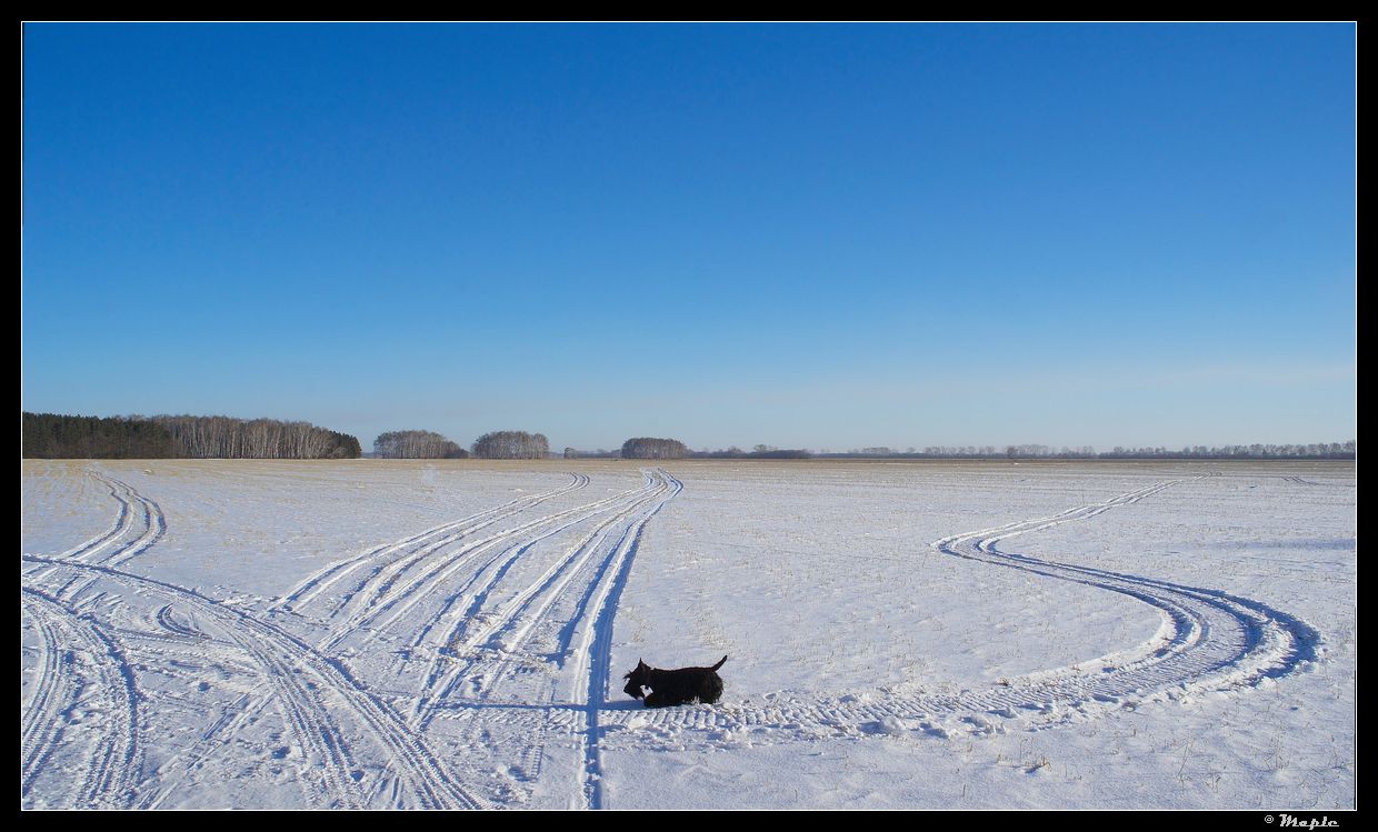 photo "***" tags: landscape, winter