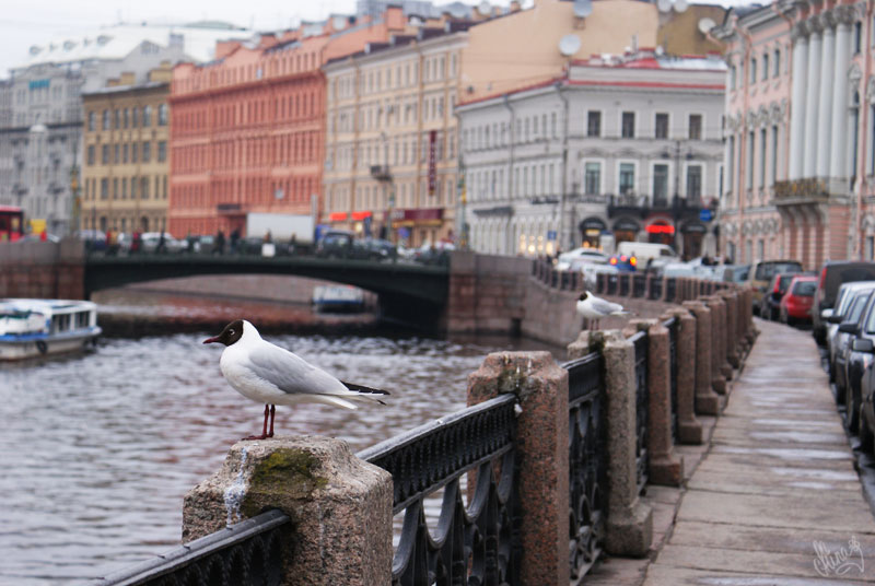 photo "Wet mood" tags: architecture, travel, landscape, Europe