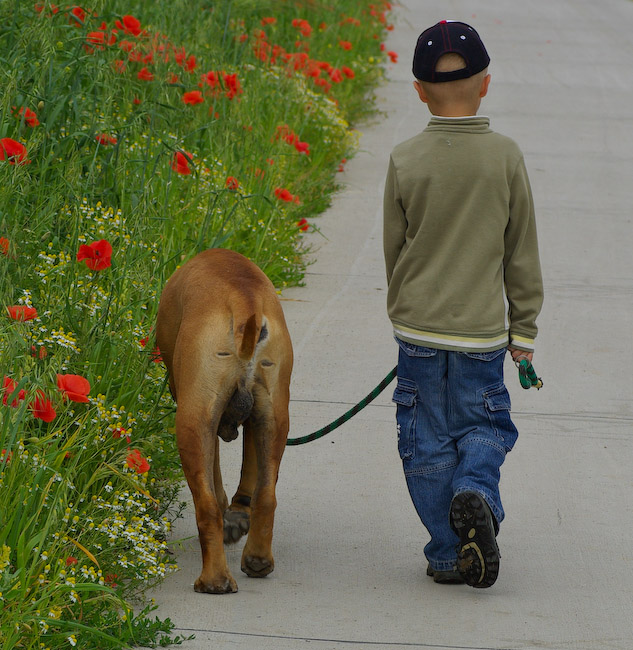 photo "Two friends" tags: nature, pets/farm animals