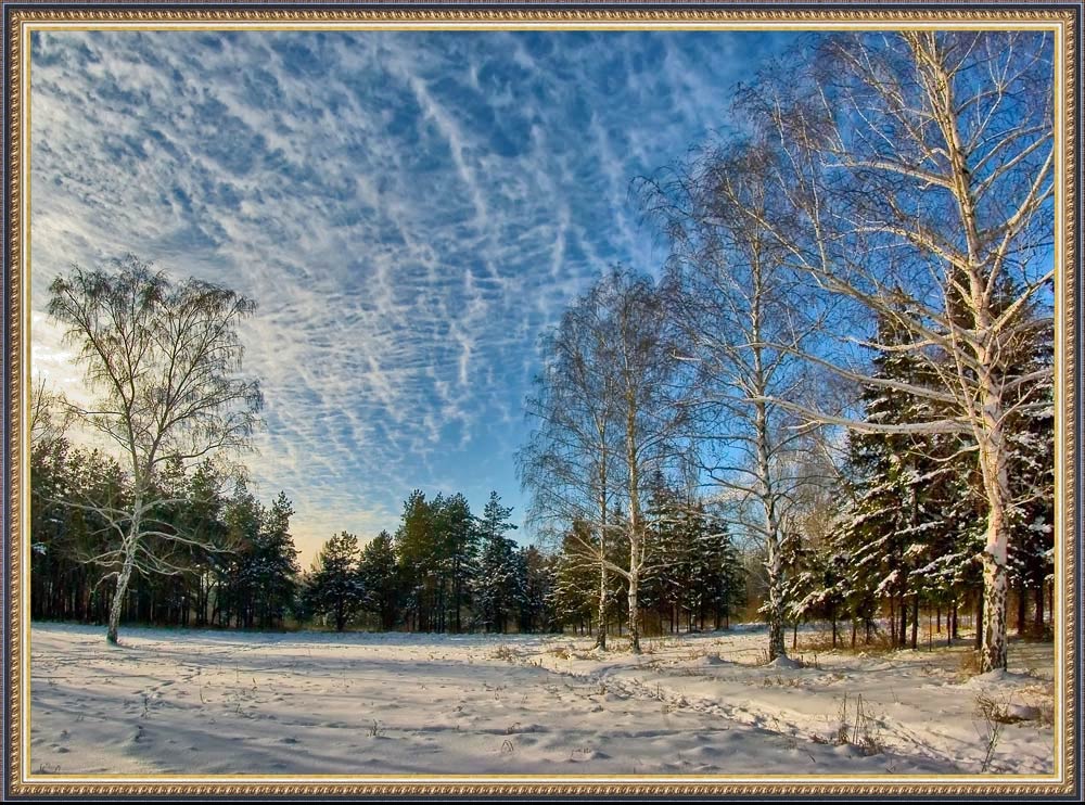 фото "Январское утро" метки: пейзаж, зима, лес